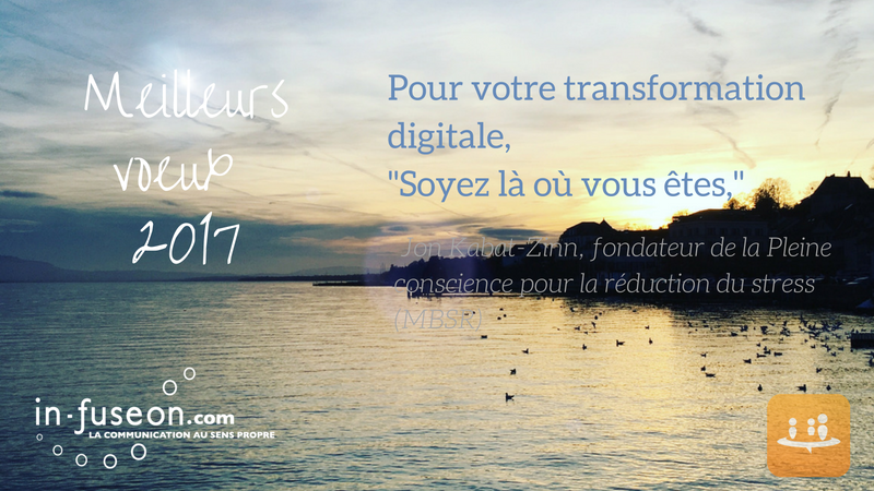 Voeux_infuseon_2017
